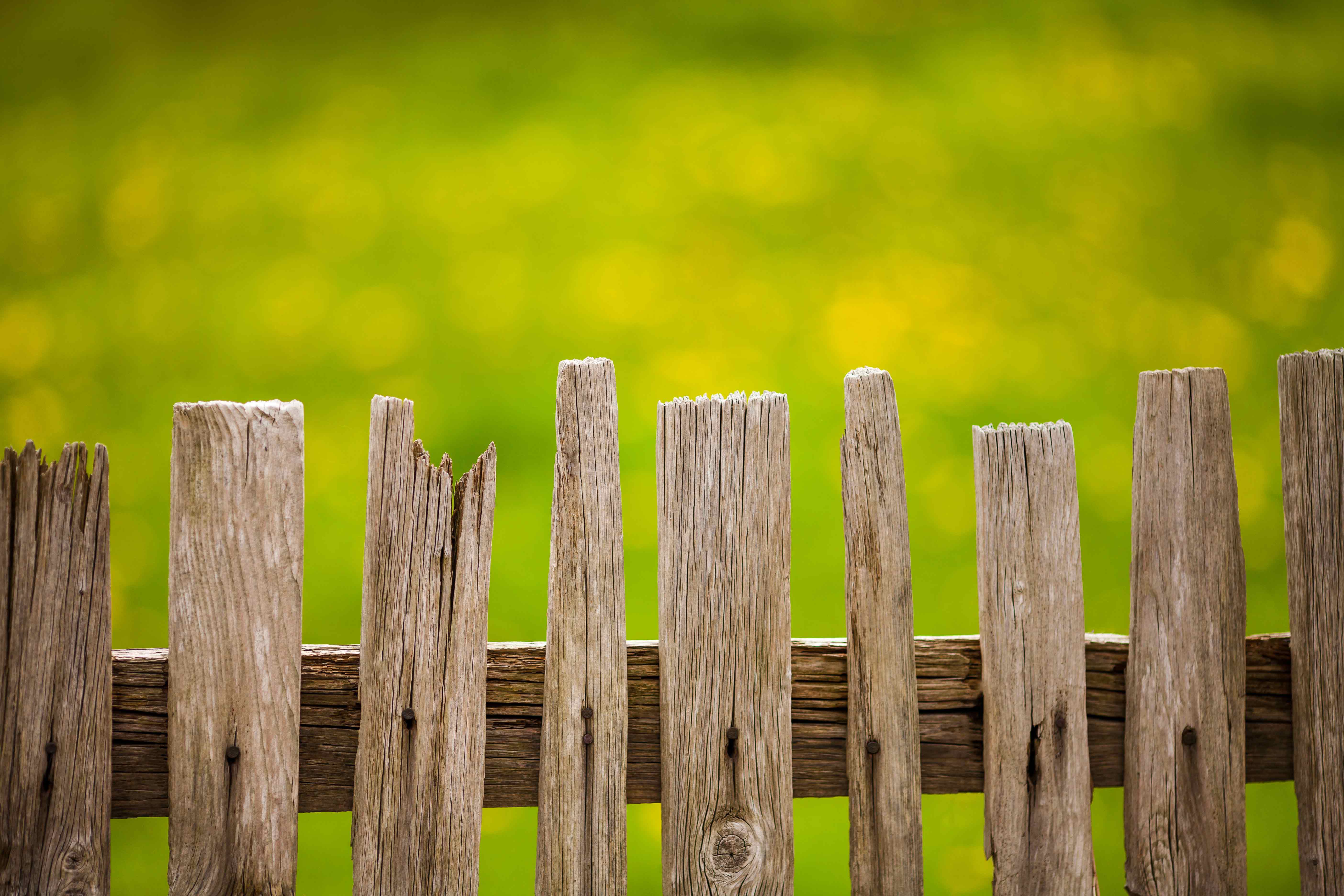 Fencing and Hedging