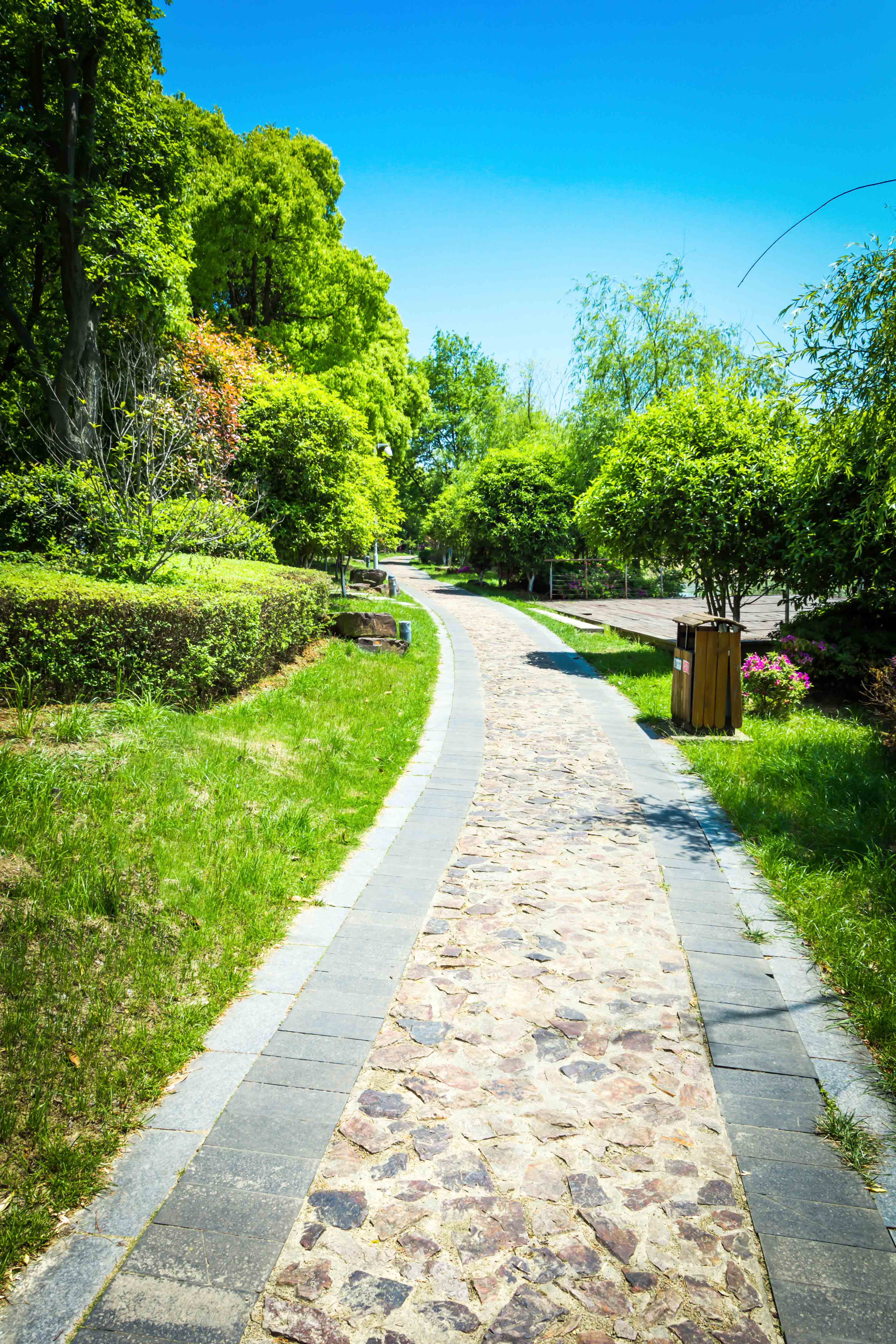 Patio and Drive way Care